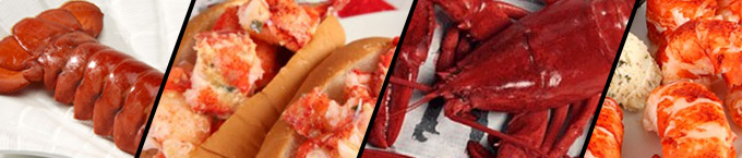 Lobster Anywhere: a sampling. Affiliate program managed by Apogee.