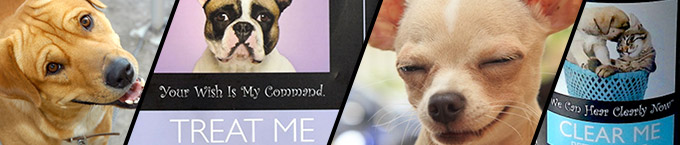 TruDog: a sampling. Affiliate program managed by Apogee.